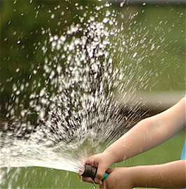 Hosepipe ban Gardeners will be upset if a water ban is imp,emented in the north-west