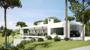 Modern eco-houses can be luxurious