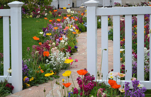 white-fence-with-flowers